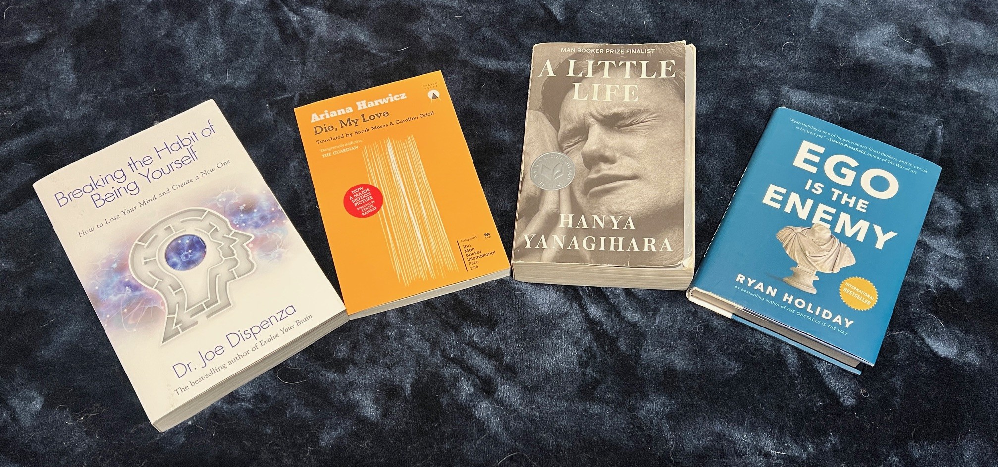 Books read during a 30-day digital detox — Tranquil Camping sustainable lifestyle blog